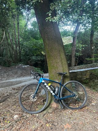 Bicicleta Carretera TREK Émonda SL 5