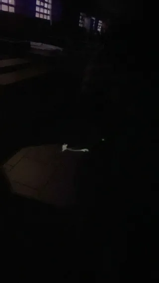 Televisor LG Smart TV Negro