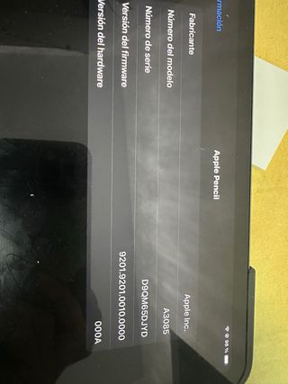 Apple Pencil (USB-C) originale con garanzia