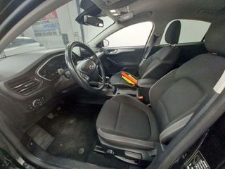 Ford Focus TREND BUSINESS 1.5 ECOBLUE 95CV BVM6