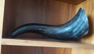 Corno decorativo centrotavola/soprammobile