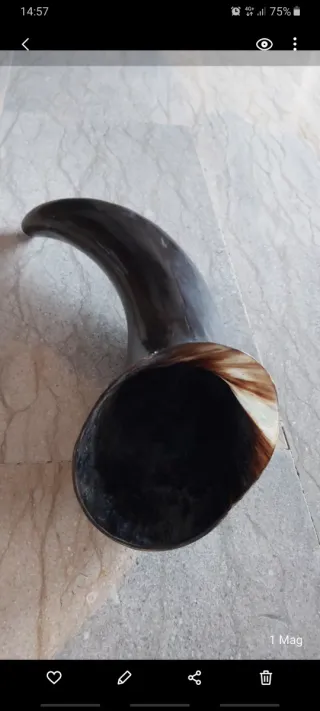 Corno decorativo centrotavola/soprammobile