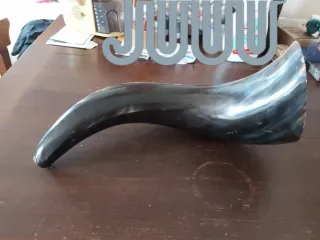 Corno decorativo centrotavola/soprammobile