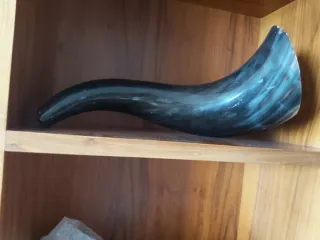 Corno decorativo centrotavola/soprammobile