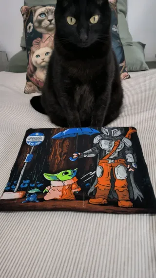 Camiseta My Neighbor Mando de TeesGeex