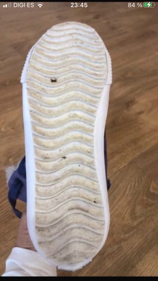 Snakers invierno forrados de piel,