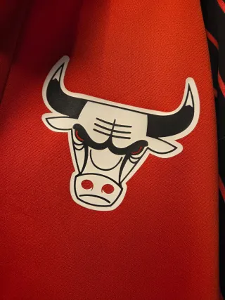 Chaqueta Nike NBA Chicago Bulls 75 Aniversario