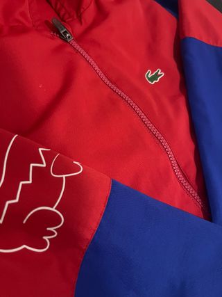 Conjunto deportivo Lacoste