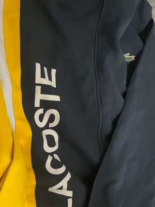 Conjunto deportivo Lacoste