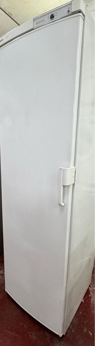 Congelatore Bosch No Frost solo congelatore