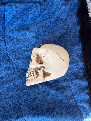 Calavera Steampunk Decorativa