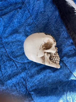 Calavera Steampunk Decorativa