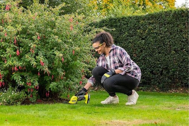 Tijeras eléctricas Césped Arbustos 2en1 PRECINTADO