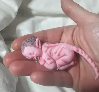 Muñeco Bebé Avatar Silicona AVATAR