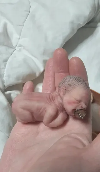 Muñeco Bebé Avatar Silicona AVATAR