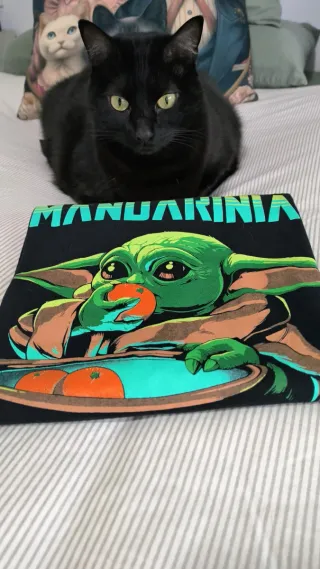 Camiseta The Mandarinian de Oliver Oneto