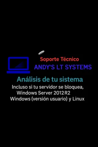 Técnico informático