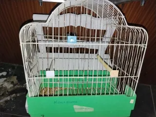 Gabbie per uccelli (Set di 3)