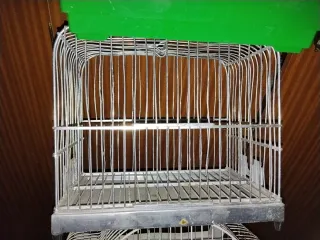 Gabbie per uccelli (Set di 3)