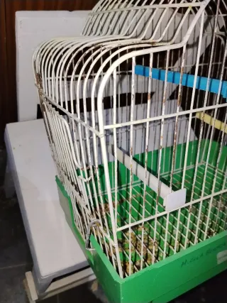 Gabbie per uccelli (Set di 3)