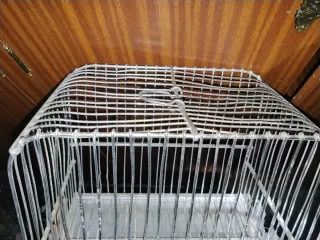 Gabbie per uccelli (Set di 3)