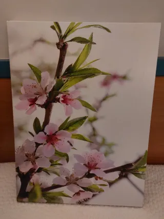 Quadri decorativi con fiori su tela