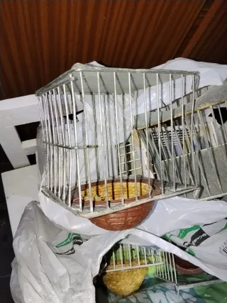 Portanidi per gabbie per uccelli