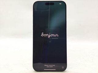 apple iphone 16 pro max 256gb