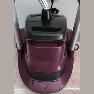 Ferro a Vapor Vertical ROWENTA Expert Precision