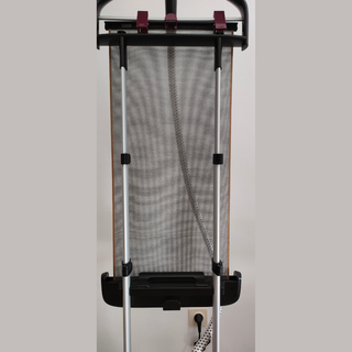 Ferro a Vapor Vertical ROWENTA Expert Precision