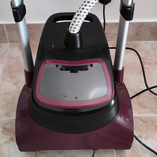 Ferro a Vapor Vertical ROWENTA Expert Precision