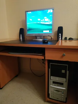 Philips Monitor Ordenador Mesa