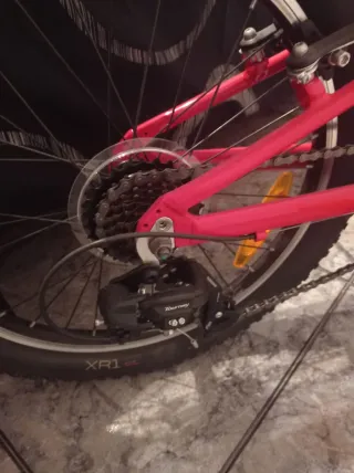 Gangaza no durara mucho publicada bicicleta niñ@ T