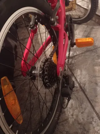 Gangaza no durara mucho publicada bicicleta niñ@ T