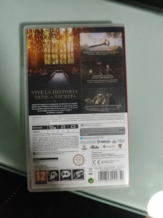 Hogwarts Legacy Nintendo Switch