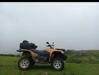 Quad goes 520 max 4x4
