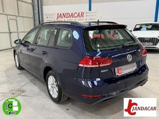VOLKSWAGEN Golf Variant Last Edition 1.6 TDI 85 kW (115 CV)