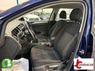 VOLKSWAGEN Golf Variant Last Edition 1.6 TDI 85 kW (115 CV)