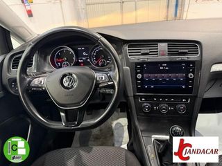 VOLKSWAGEN Golf Variant Last Edition 1.6 TDI 85 kW (115 CV)