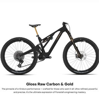 Bicicleta Eléctrica FORESTAL e-Syrion Avinox