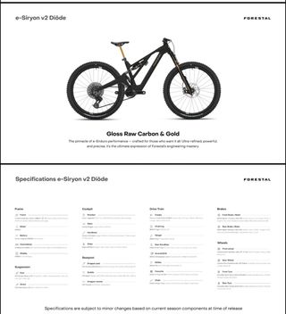 Bicicleta Eléctrica FORESTAL e-Syrion Avinox