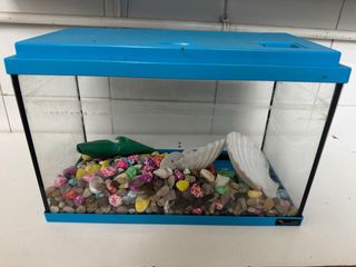 Pecera azul con adornos