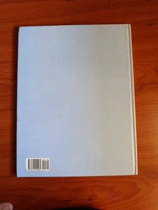 Libro infantil los aurones