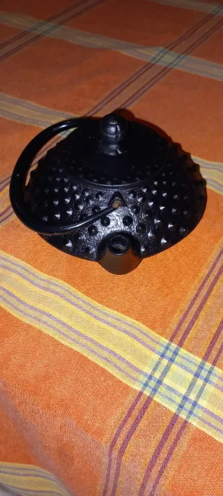 Tetera de hierro Iwachu