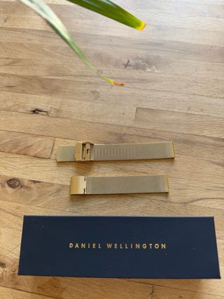 Brazalete Daniel Wellington Evergold 36mm