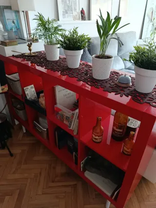 Conjunto de muebles rojo, estantería y baldas
