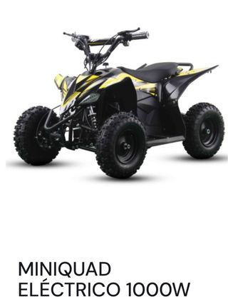 Miniquad Eléctrico 1000W