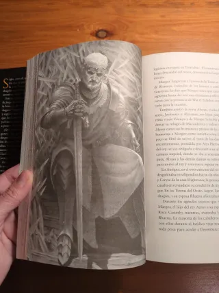 Fuego y Sangre (Canción de hielo y fuego): 300 ...