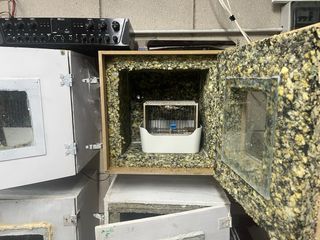 Silvestrismo Tutto il necessario, gabbie, gabbie.