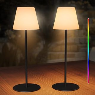 462 - Pataoli 2 Lampade Wireless Dimmable